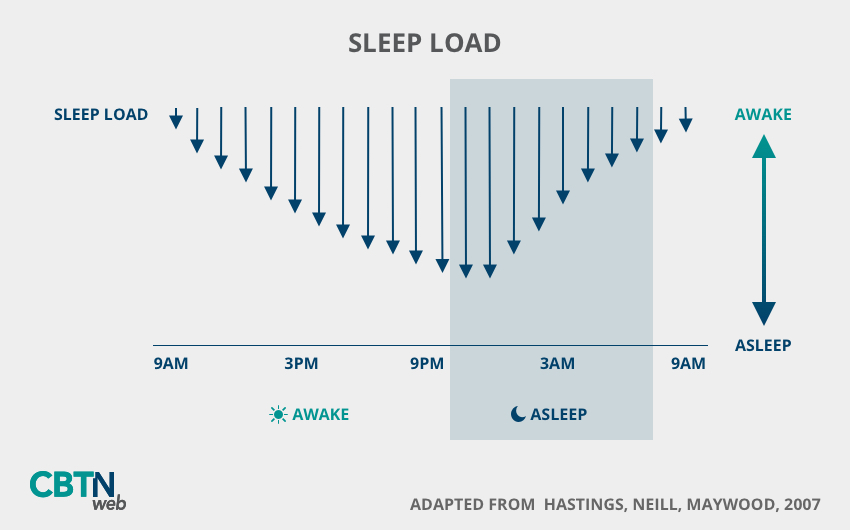 Sleep Load